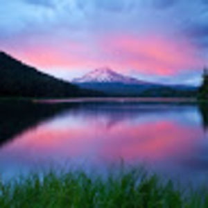 Meet your Posher, Lavinia